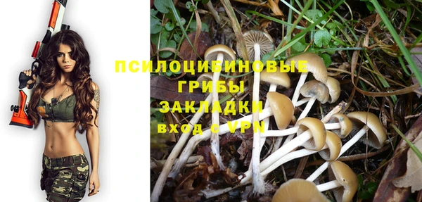 индика Алексеевка