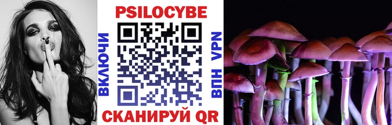 купить   Коркино  Галлюциногенные грибы Magic Shrooms 