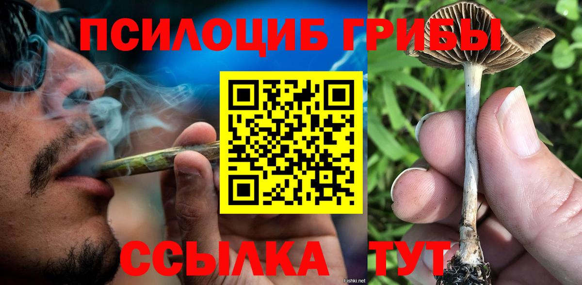 Псилоцибиновые грибы мицелий  Вход с VPN  Псилоцибиновые грибы Magic Shrooms  где купить   Коркино 