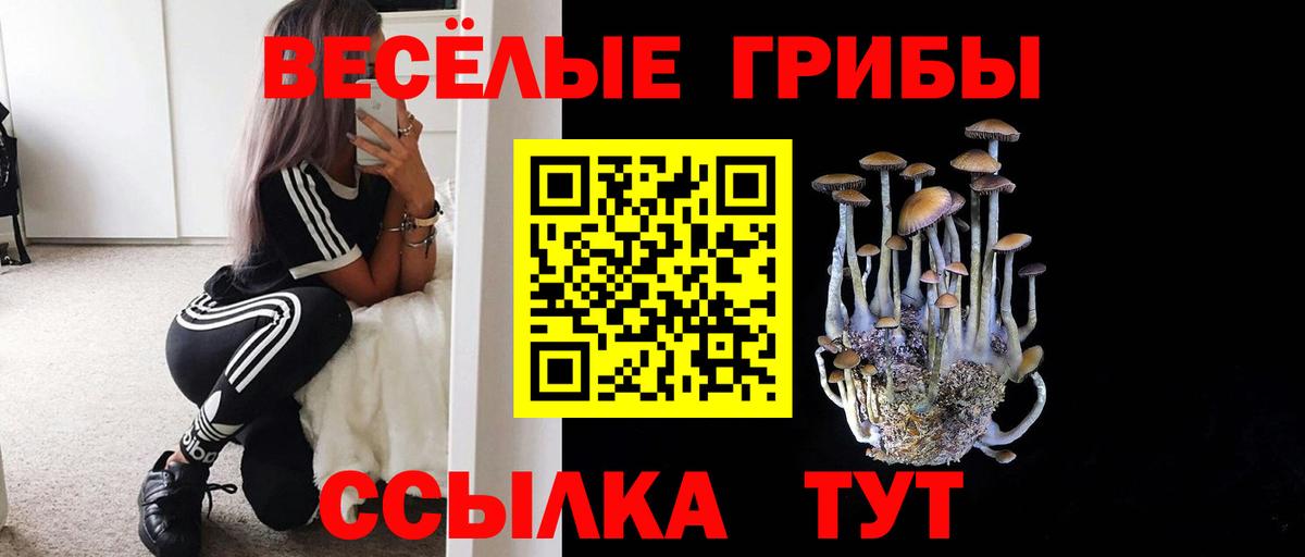 Галлюциногенные грибы MAGIC MUSHROOMS Коркино
